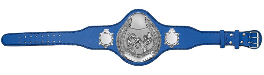 THAI BOXING CHAMPIONSHIP BELT-PLT301/S/TBOS-4 COLOURS